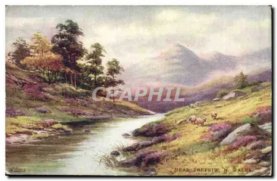 Paisagem com riacho e ovelhas — perto de Trefriw, N. Wales — C. W. Faulkner & Co., Londres