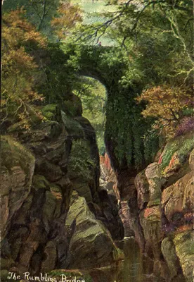 The Rumbling Bridge — naturalny most wąwozowy — S. Hildesht Mfrs & Co. Ltd, Londyn