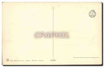 Rapallo - Panorama — vista panorâmica do porto e das colinas — Edit. Brunner & C. Como, n° 21894 — Verso