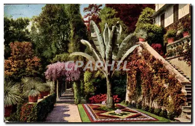Jardim da Villa Carlotta — Cadenabbia — Editor Esarti Capella, n° 711.888