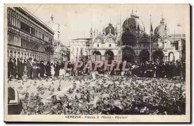 Veneza - Piazza S. Marco - Piccioni — editor G.B. n° 053343