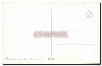 Premeno (m. 860 z. m.) — Panorama — Wyd. Brunner & C., Como, nr 210-25 — Rewers