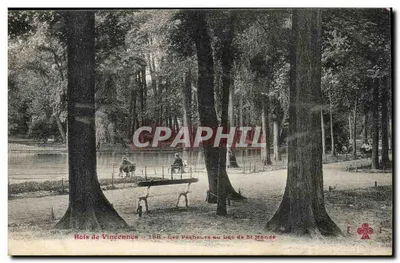 Bois de Vincennes – 189 - Os Poplars no Lago de St Mande