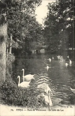 PARIS — Bois de Vincennes — Um canto do Lago — I.P.M. n°76