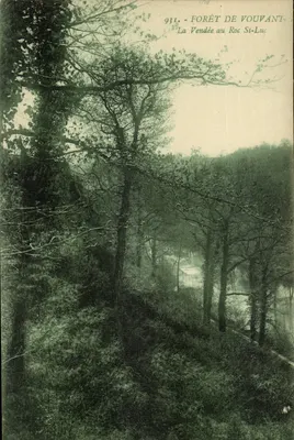 Floresta de Vouvant — La Vendée ao Roc St-Luc — n° 931