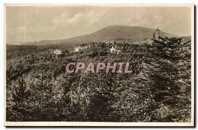 Vista de montanhas e florestas — editor não visível