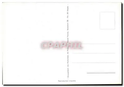 Casamento surpresa — caricatura humorística — Alexandre — Verso