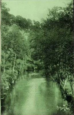 Floresta de Vouvant Mervent — 'Pierre Blanche' — Éditions Artistiques Raymond Bergevin