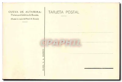Cueva de Altamira — Przegroda z byka — Blass, S.A. Madrid — Rewers
