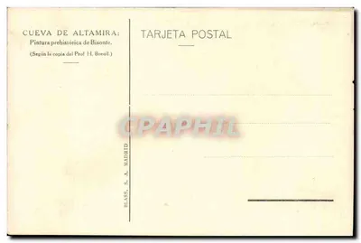 Caverna de Altamira — Pintura pré-histórica de bisonte — Blass, S.A. Madrid — Verso