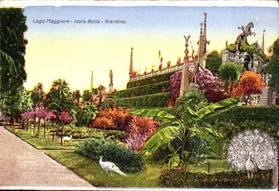 Lago Maggiore - Ilha Bella - Jardim.