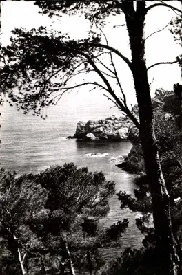 Ilha de Porquerolles — Margem do mar — Images de Chez Nous, P 511