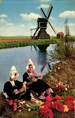 Duas jovens mulheres em traje tradicional holandês — tulipas e moinho de vento — editor: Bloemenland, Molenland