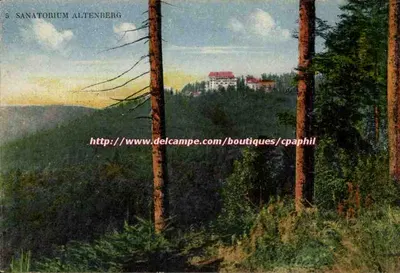 Sanatório Altenberg — vista do sanatório no meio das florestas — editor Delcampe