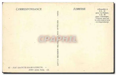 Ilha Santa Marguerita — Avenida sob bosque — Levy & Neubdein, Paris — Verso