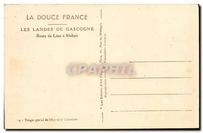 Le Landes de Gascogne — Strada di Léon a Molliets — Yvon — Verso