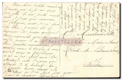Floresta de grandes árvores — caminho entre troncos — editor não visível — Verso