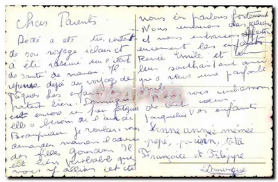 Rosas e violetas — ilustração colorida — editor não visível — Verso