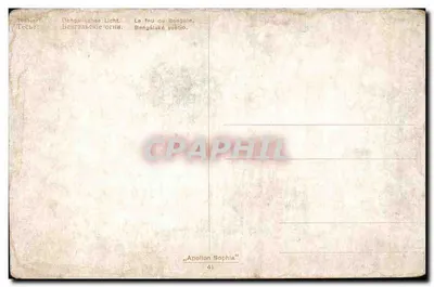 Kobiety w ogrodzie — scena z bengalskim ogniem — wydawca "Apollon Sophia", nr 41 — Rewers