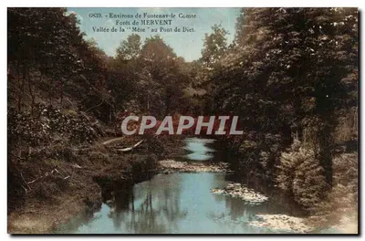 Vale da Mãe no Ponte de Diet — Floresta de Mervent — Arredores de Fontenay-le-Comte