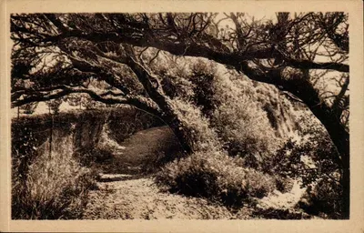 Les Yeuses — St-Palais-sur-Mer — Desarts Photomécaniques