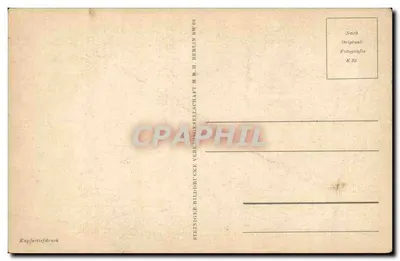 Woud — pad tussen bomen — Steiniger-BildDrucke Verlag, Berlin SW 68 — Achterkant