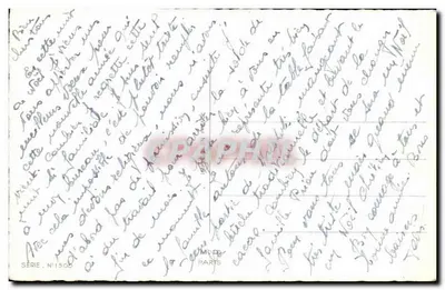 Bom Ano — mimosa e estribo — série N°1300, editor M. D. Paris — Verso