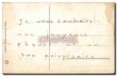 Zacieniona alejka z kwitnącymi cerwianami — Wydawnictwo Photoglob, Zurych, n° 30649 — Rewers
