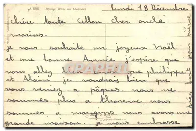 Blumige Wiese bei Adelboden — widok zasnieżonych gór i kwitnącej łąki — wydawca A. 5357 — Rewers
