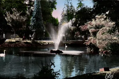 Vichy (Allier) — Le Lac et les Cygnes — Éditeur Elcé, n° 2784