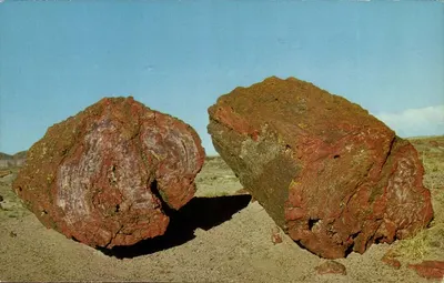 Troncos Petrificados — Monumento Nacional de Petrified Forest — editor Fronske Studio, Flagstaff, Ariz. — n° RMF-667