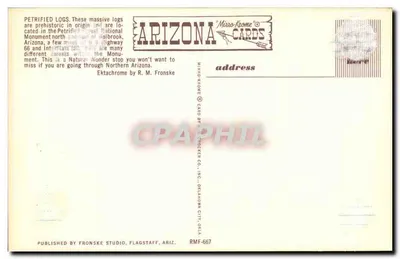 Troncos Petrificados — Monumento Nacional de Petrified Forest — editor Fronske Studio, Flagstaff, Ariz. — n° RMF-667 — Verso