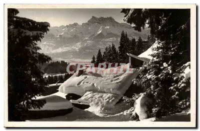 Leysin e as Dentes do Meio-Inverno — Foto E. Kull, Leysin, No. 22