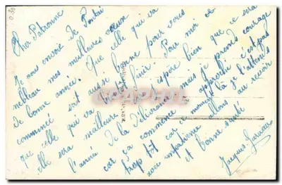 Flores de crisântemos — Boa Ano — editor anônimo, n° 561 — Verso