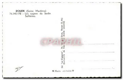 Os cisnes do Jardim Solférino — Rouen (Seine Maritime) — Ed. 'La Cigogne' — Verso