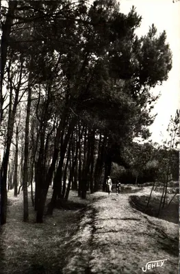 Brétignolles-sur-Mer — A Floresta das Dunas — Jehly
