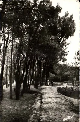 Brétignolles-sur-Mer — A Floresta das Dunas — Jehly