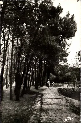 Brétignolles-sur-Mer (Vendée) — A Floresta das Dunas — Jehly Poupin, n°532