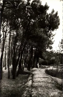 Floresta das Dunas — Brétignolles-sur-Mer (Vendée) — Jehly