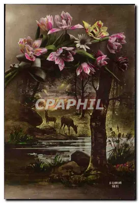 Flores de orquídeas — cena de floresta com cervos — Furia 1871