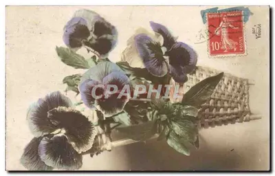 Pansies em um cesto entrelaçado — editor desconhecido, série não identificada