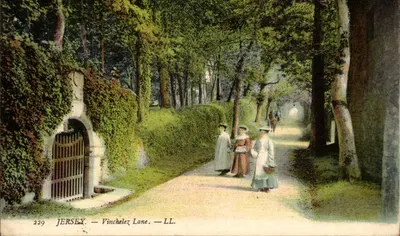 Jersey — Vinchelez Lane — LL. — n° 229