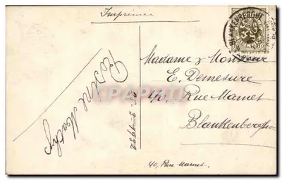 Dziewczyna z kurczakami i kury — pod różowymi kwiatami — P.C. 2964 — Rewers