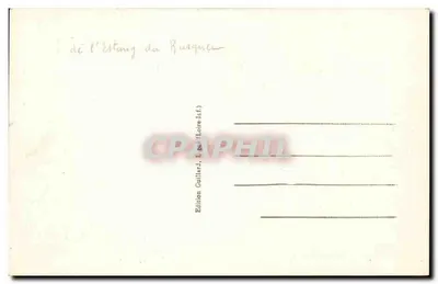 LIGNÉ (Loire-Inf.) — Château du Ponceau — 31 — Verso