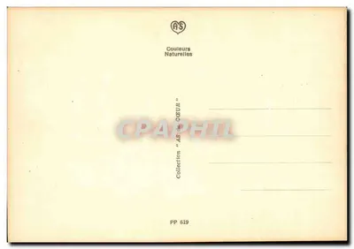 Siedem głównych grzechów łowienia — Zbiór AS «Kolory Naturalne» — PP 619 — Rewers
