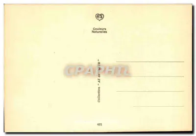 I 7 Peccati Capitali dell'automobilista — Collezione AS de CÉTR — Verso