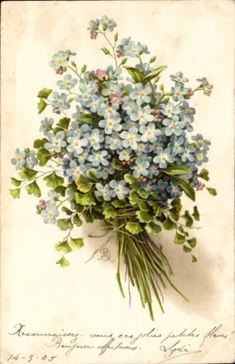 Arranjo de flores — 'Reconhece estas lindas pequenas flores?' — Lydia