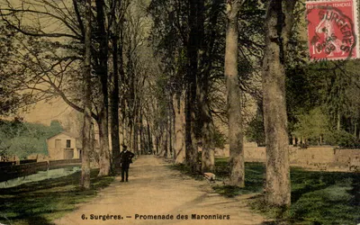 Surgères — Promenade dos Maronniers — editor A. Cose, n°6