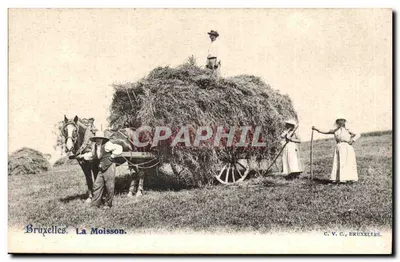 Bruxelas. A Colheita — C. V. C., Bruxelas