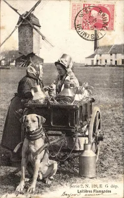 Deux laitières flamandes avec chien — devant moulin à vent — éditeur Bayjou, série 2, n° 129